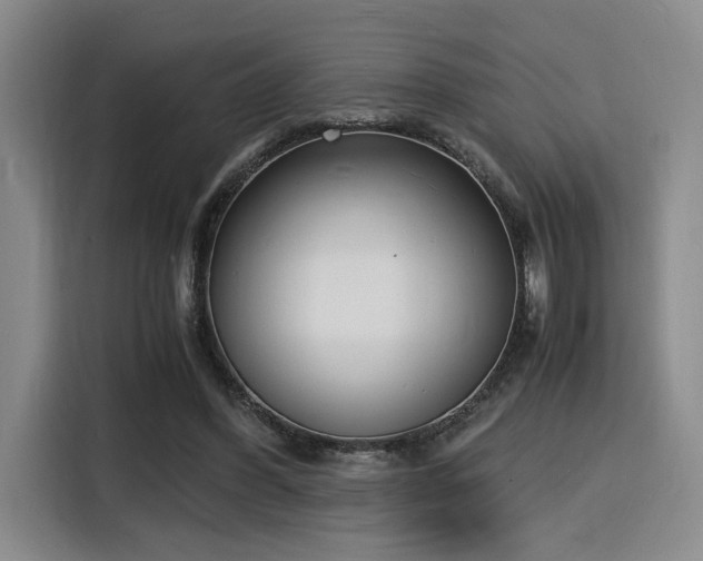 X0000116140396200911231315