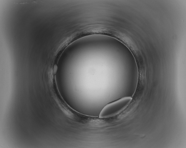 X0000116140397200911231315