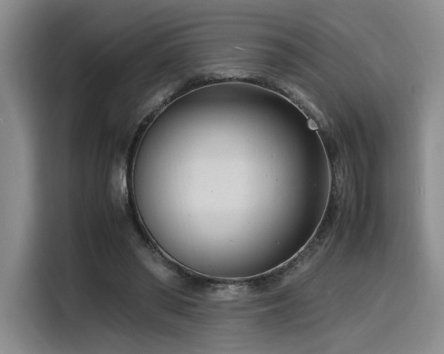 X0000116140398200911231315