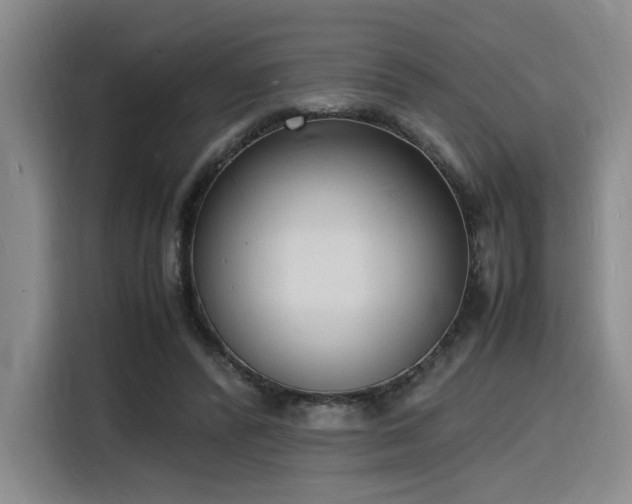 X0000116140400200911231315