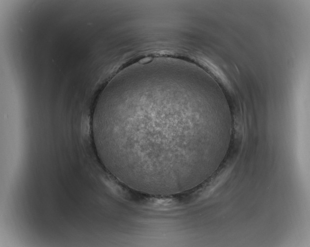 X0000116140401200911231315