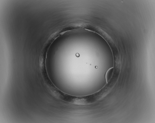 X0000116140403200911231315