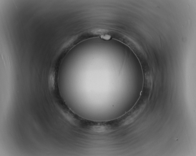 X0000116140404200911231315