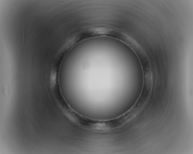 X0000116140406200911231315