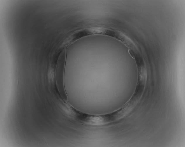 X0000116140409200911231315