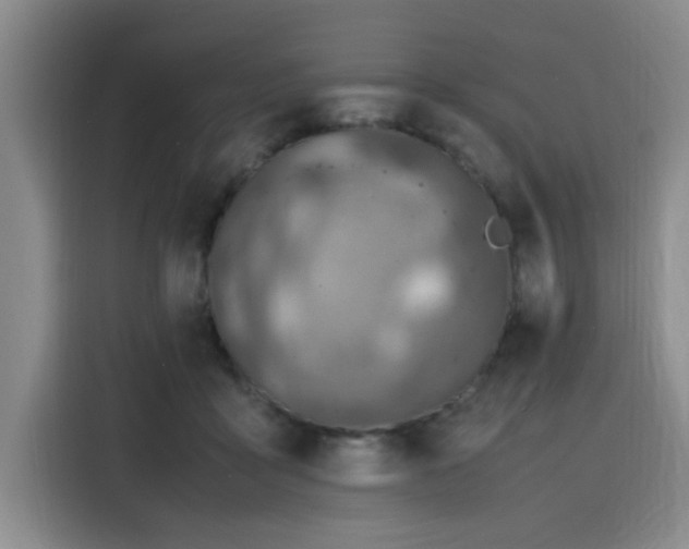 X0000116140411200911231315