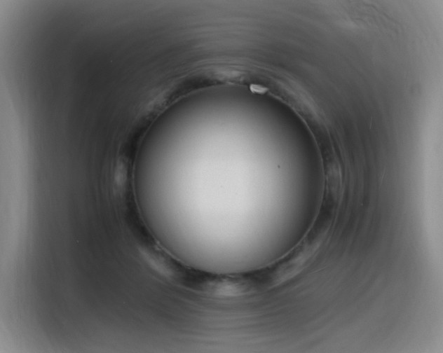 X0000116140412200911231315