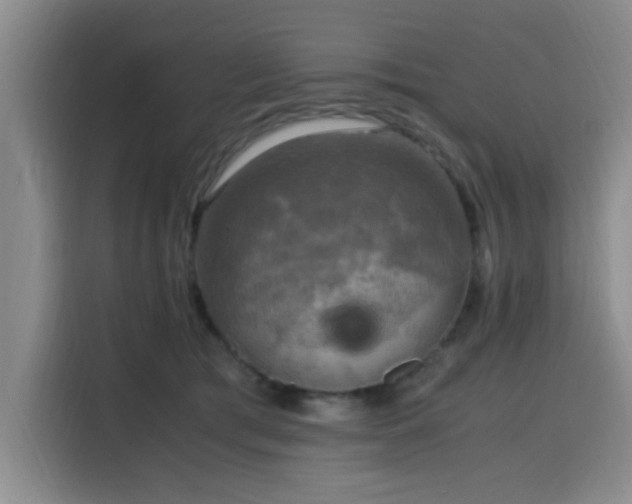 X0000116140417200911231315