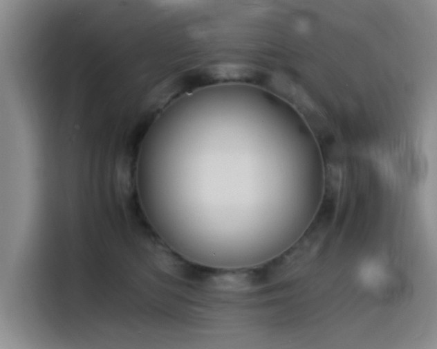 X0000116140422200911231315