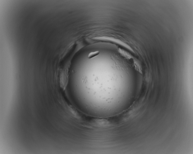 X0000116140424200911231315