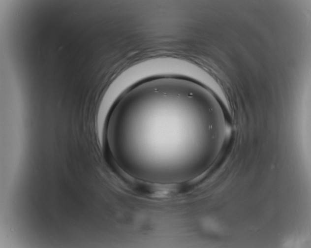X0000116140425200911231315