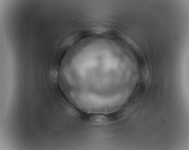 X0000116140427200911231315