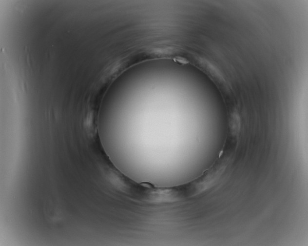 X0000116140428200911231315