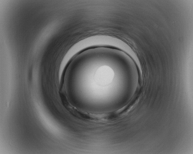 X0000116140429200911231315