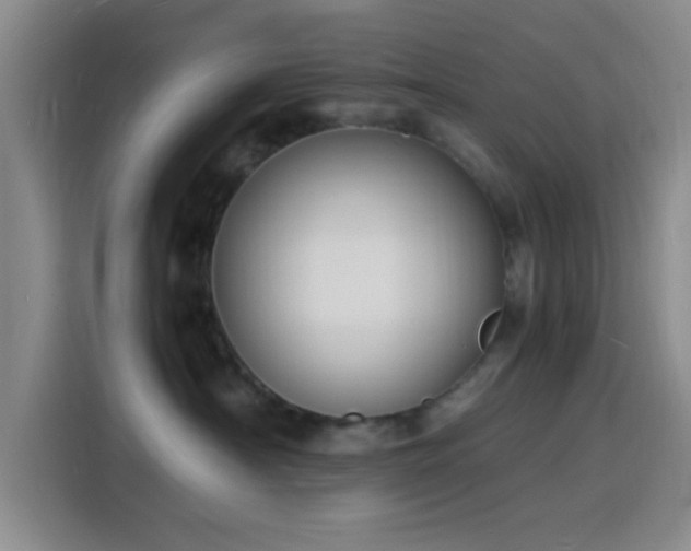 X0000116140430200911231315