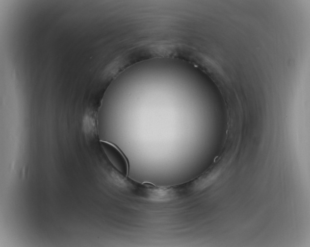 X0000116140432200911231315