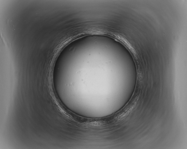 X0000116140433200911231314