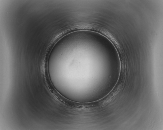 X0000116140434200911231314