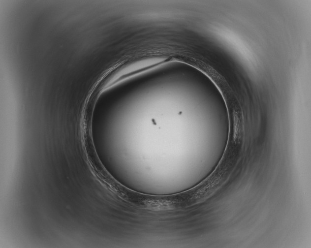 X0000116140435200911231314