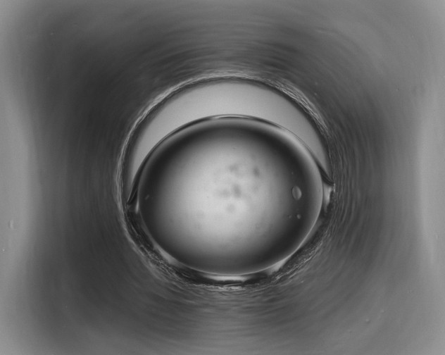 X0000116140436200911231314