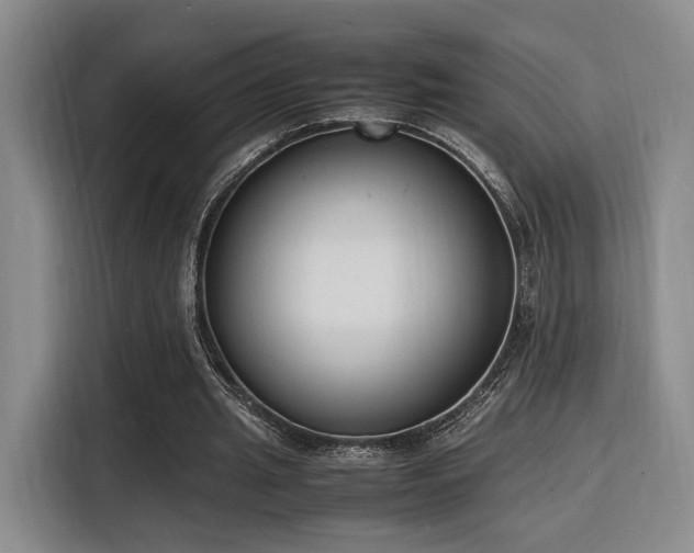 X0000116140437200911231314