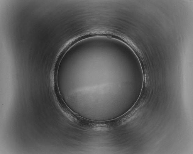 X0000116140438200911231314