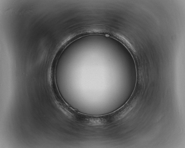 X0000116140439200911231314