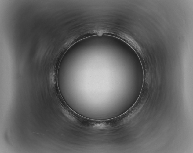 X0000116140441200911231314