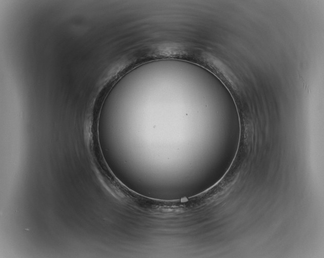 X0000116140443200911231314