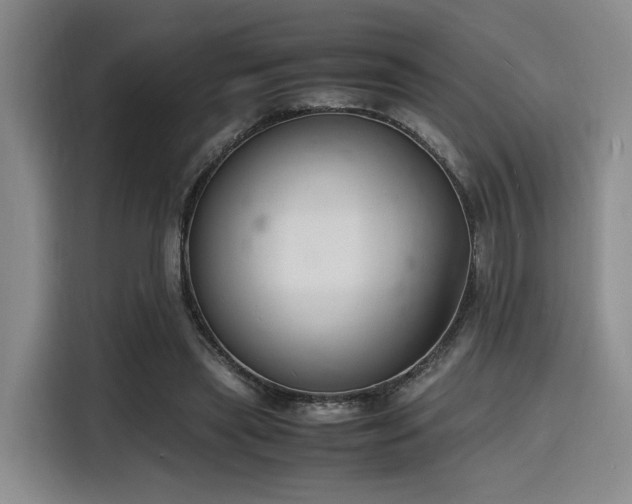 X0000116140445200911231314