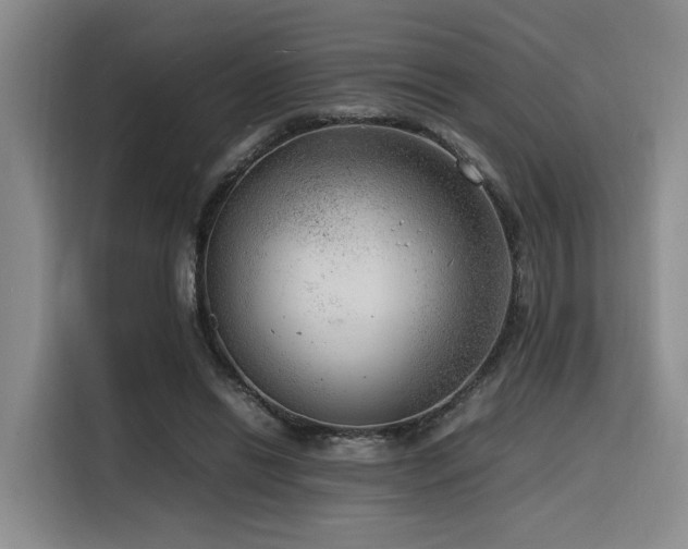 X0000116140446200911231314