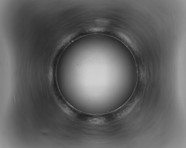 X0000116140447200911231314