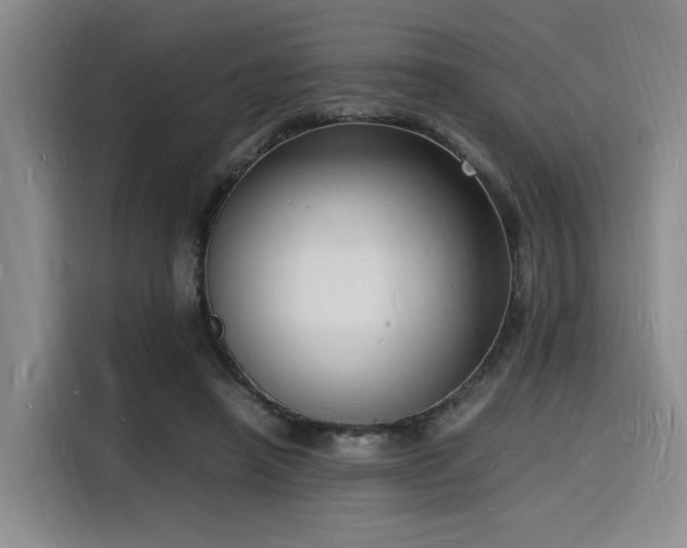 X0000116140450200911231314