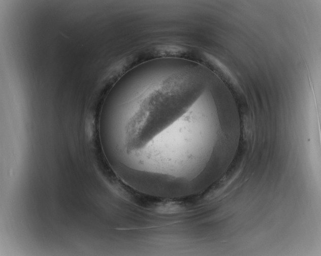 X0000116140451200911231314
