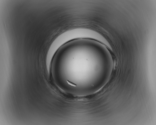 X0000116140452200911231314