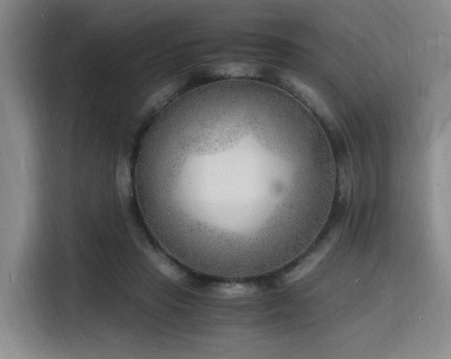 X0000116140453200911231314