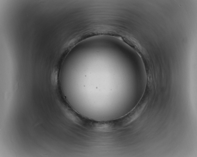 X0000116140454200911231314