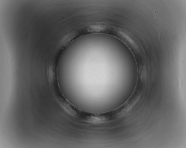 X0000116140455200911231314