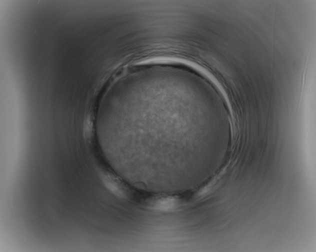 X0000116140456200911231314