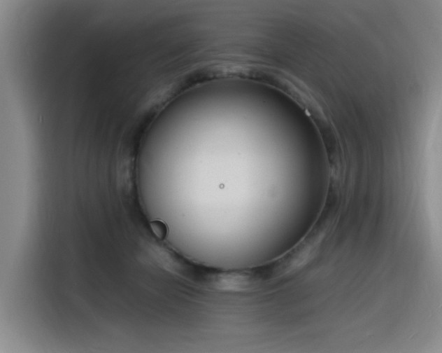 X0000116140462200911231315
