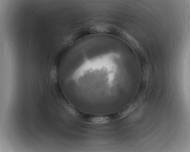 X0000116140465200911231315
