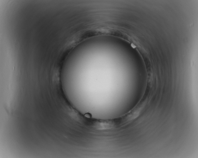 X0000116140466200911231315