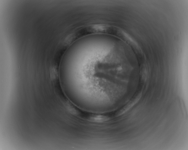 X0000116140467200911231315