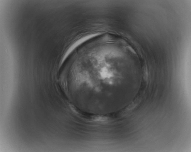 X0000116140471200911231315