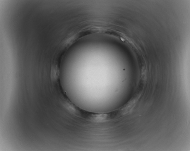 X0000116140474200911231315