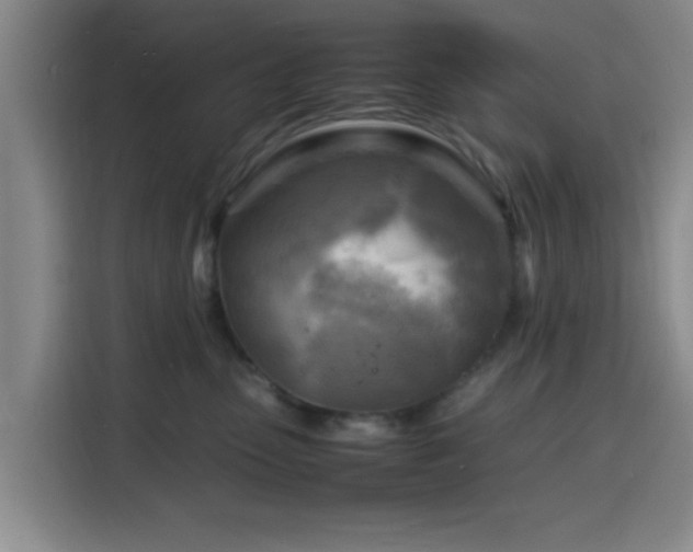 X0000116140475200911231315