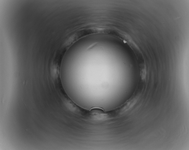 X0000116140476200911231315