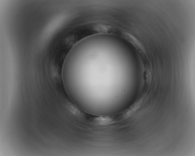 X0000116140477200911231315