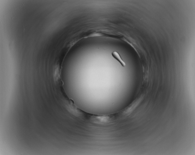 X0000116140478200911231315