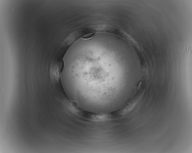 X0000116140479200911231315